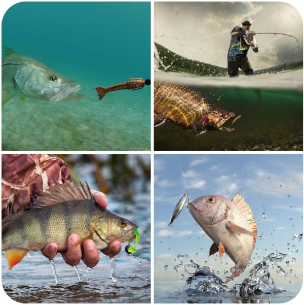 Fishing Lures Kit for Freshwater Bait Tackle Kit for Bass Trout Salmon Fishing Accessories Tackle Box Including Spoon Lures Soft Plastic Worms Crankbait Jigs Fishing Hooks - Image 7